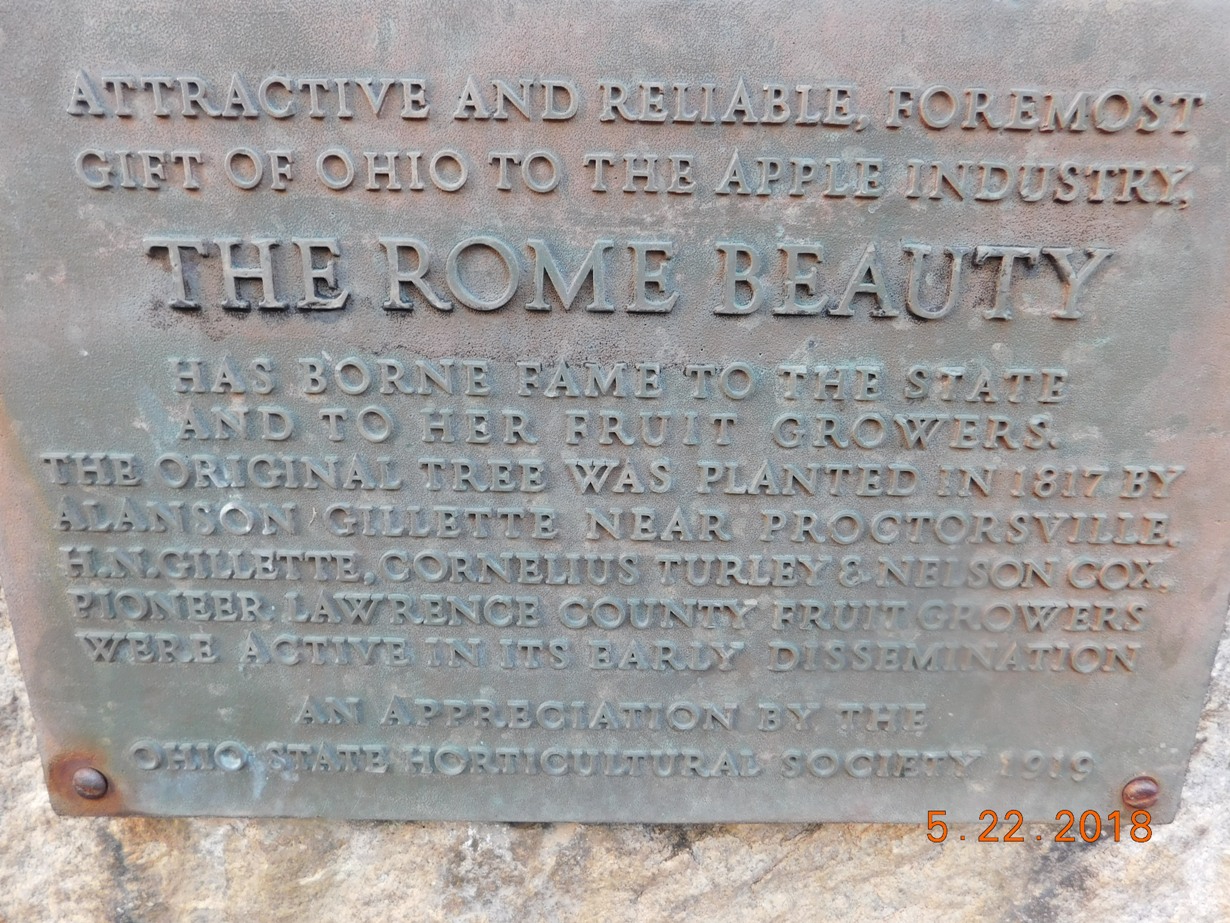 Rome Beauty apple plaque align=